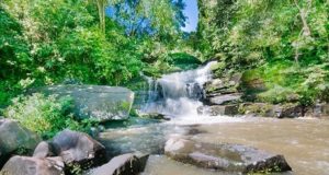 Phu Langka National Park